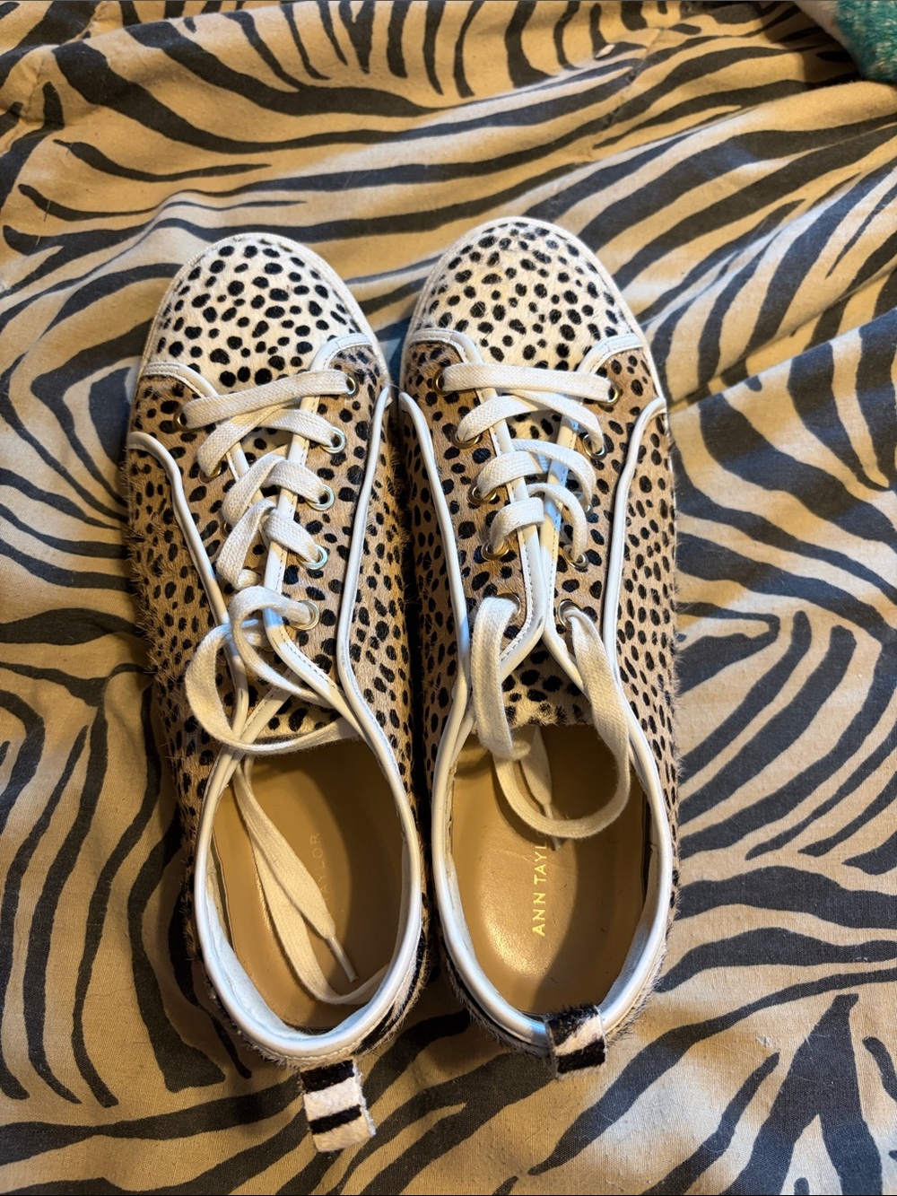 Ann Taylor Leopard-Spot Lace-Up Sneakers in Tan and Black